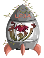 Les petits jardins d'Agathe